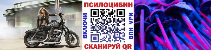 Псилоцибиновые грибы Psilocybe  Калининец 